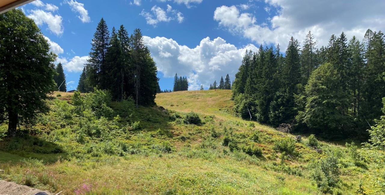 Ferienwohnung Feldberg Schwarzwald Екстер'єр фото