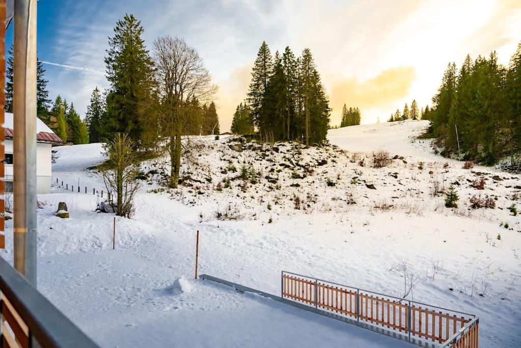 Ferienwohnung Feldberg Schwarzwald Екстер'єр фото